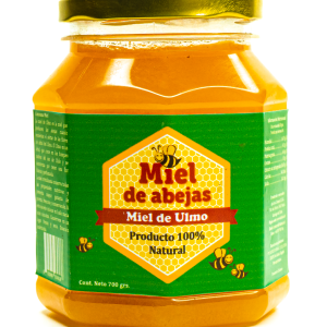 Miel de Ulmo Pote 700 grs