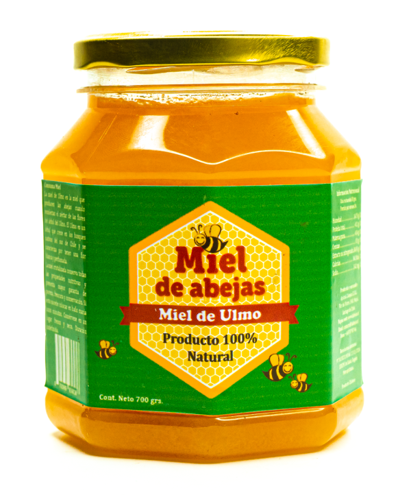Miel de Ulmo Pote 700 grs