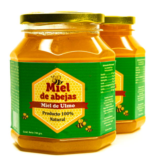 Miel de Ulmo Pote 700 grs - Imagen 2