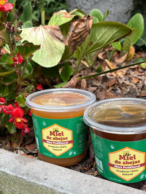 Miel Polifloral Pote 1 Kg. - Imagen 2