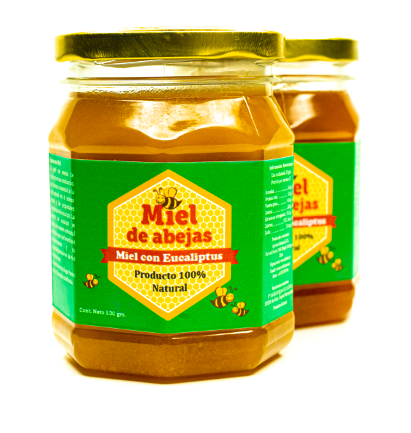 Miel con Eucaliptus Pote 500 grs. - Imagen 2