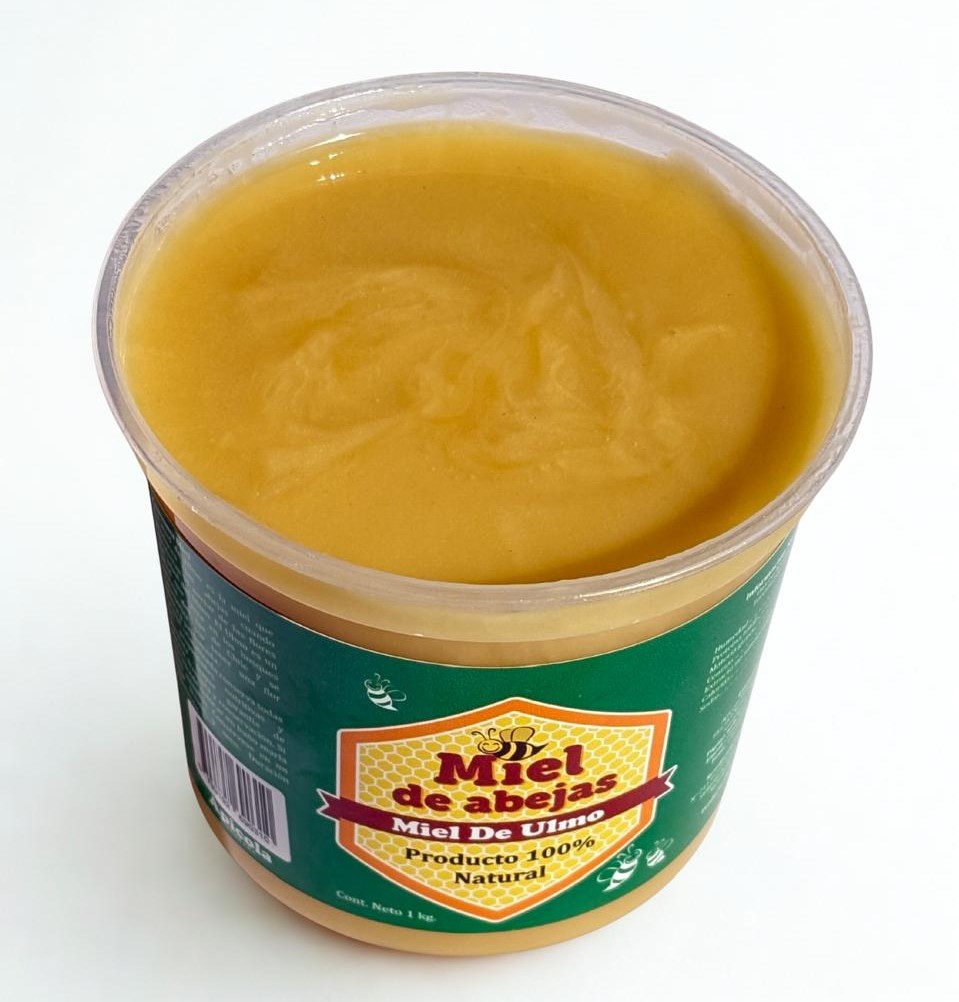 Miel de Ulmo Pote 1 Kg. - Imagen 2