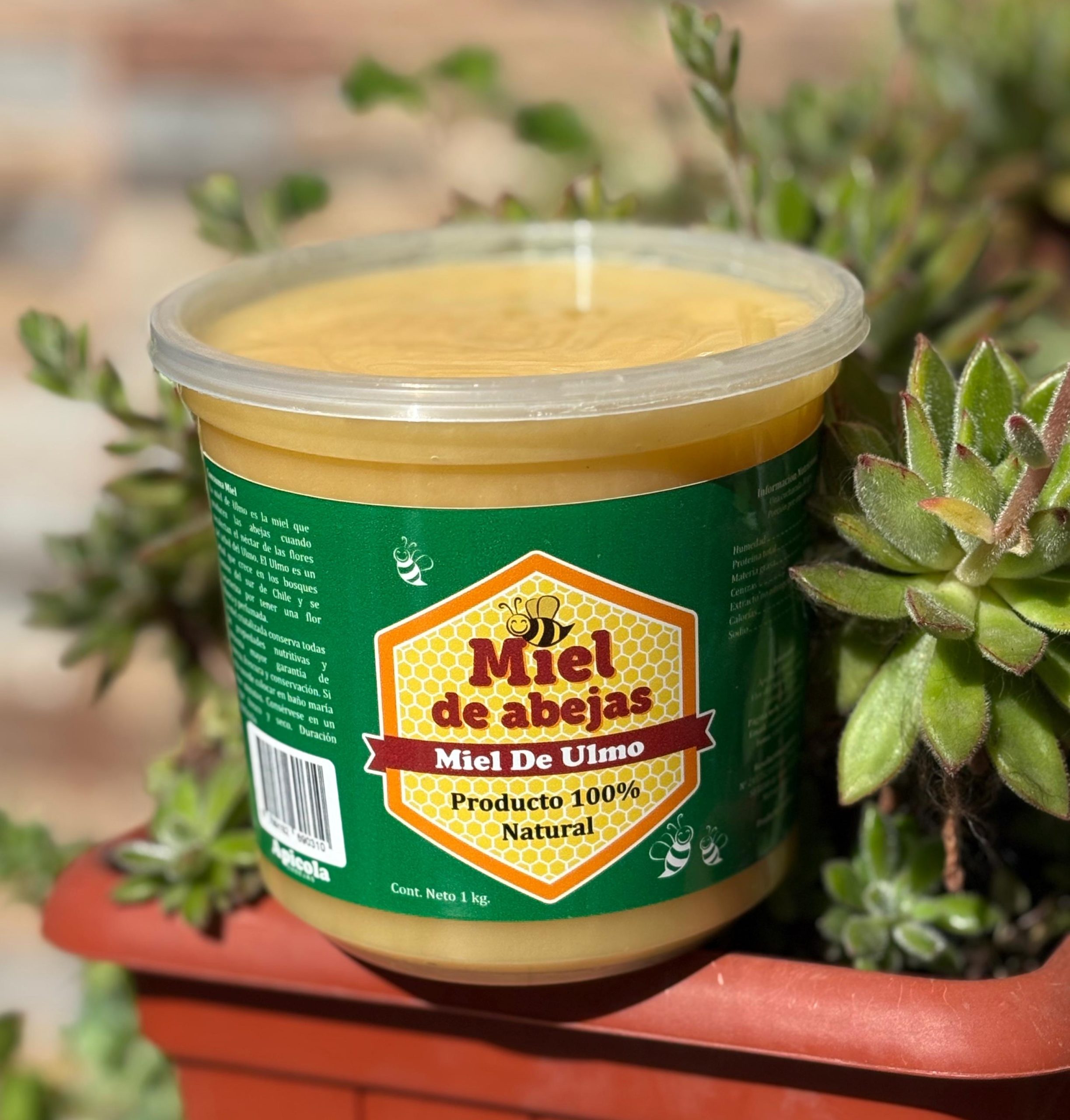 Miel de Ulmo Pote 1 Kg. - Imagen 3